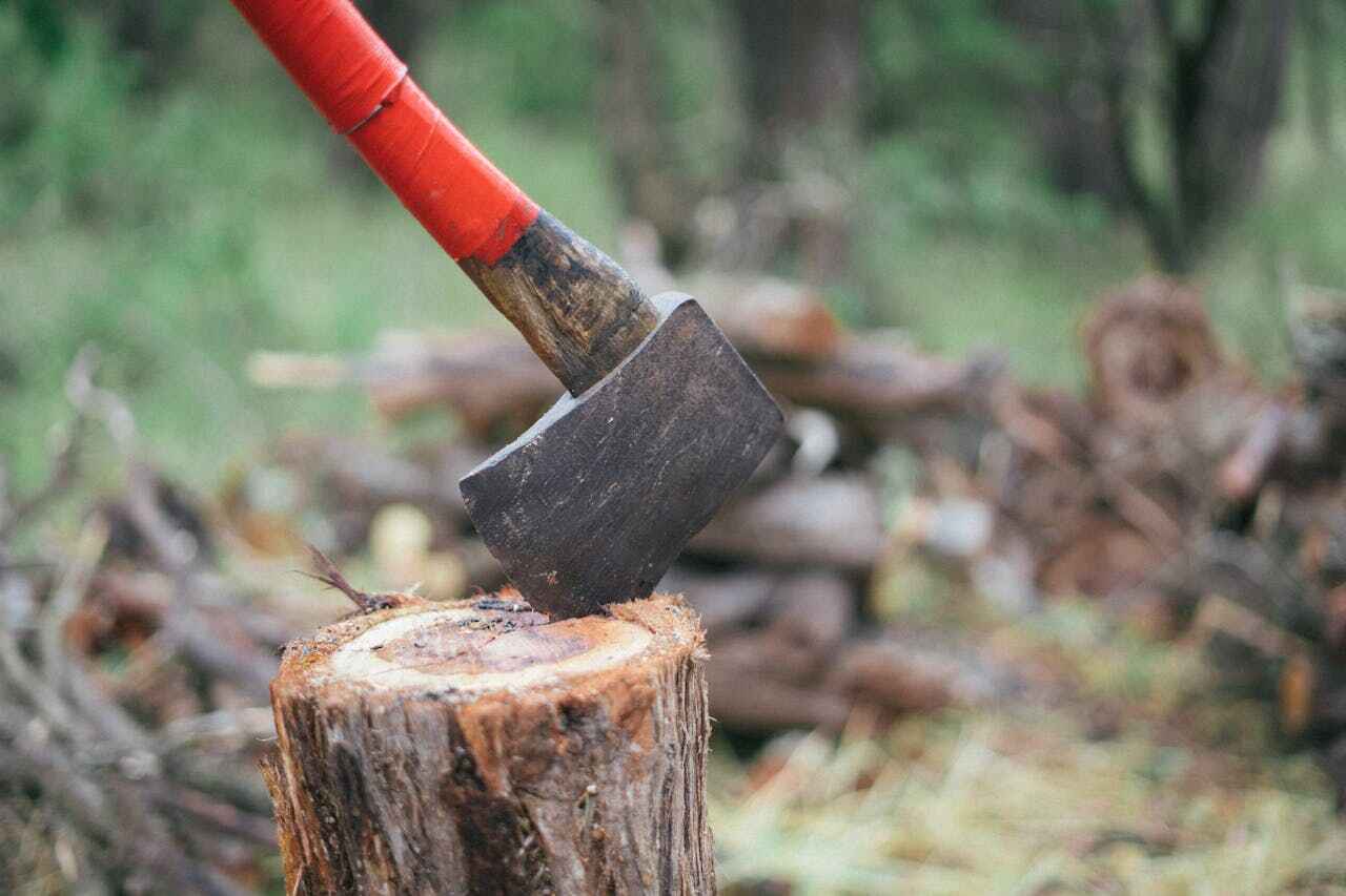 Best Tree Removal Near Me  in Mount Penn, PA